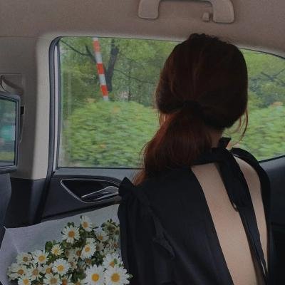 蛇蝎夜合花